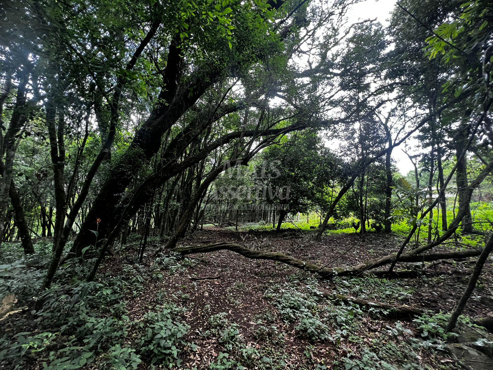 Chácara, 5000 m² - Foto 25