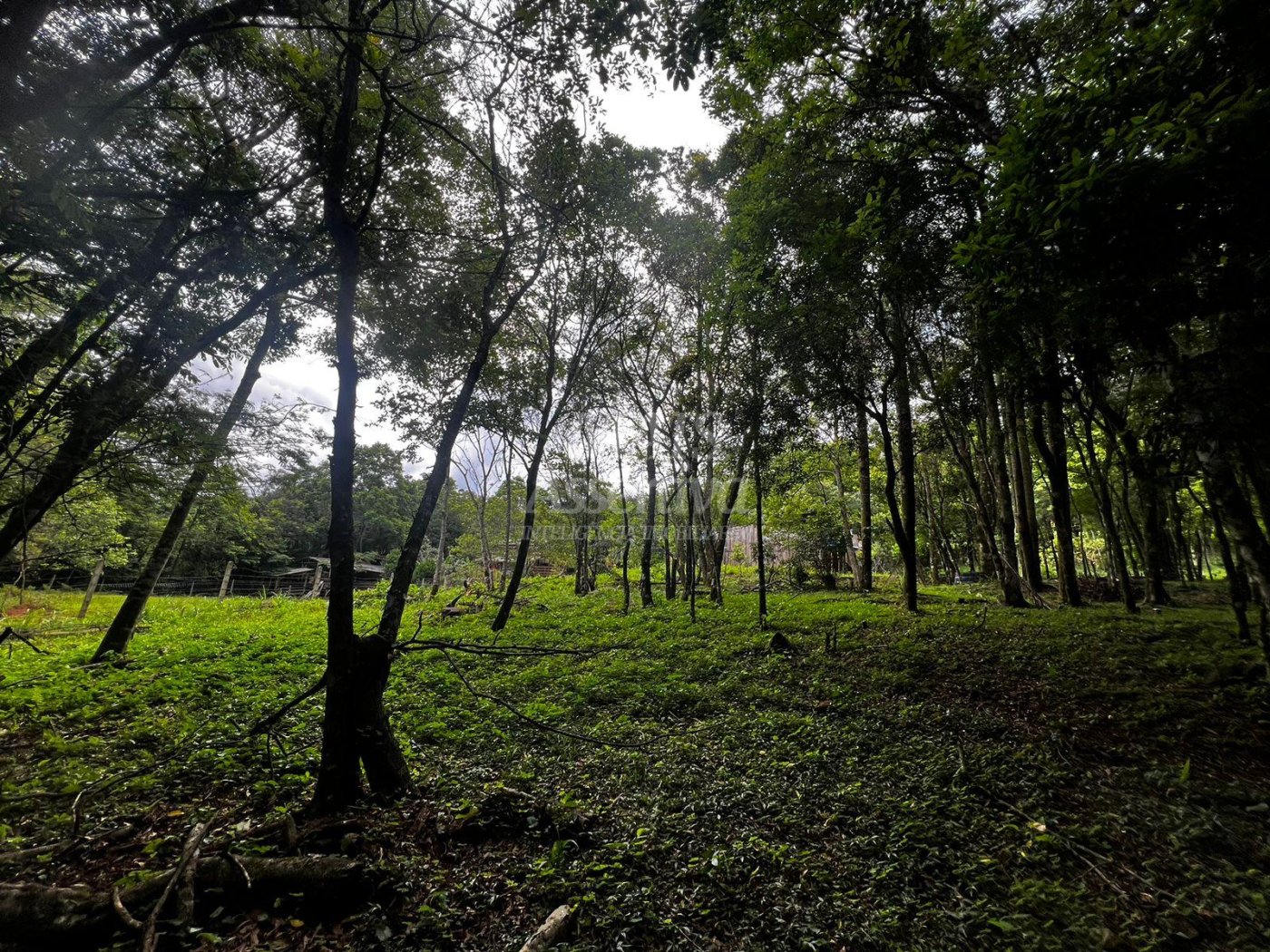 Chacara para venda em Campo Bom, Quatro Colônias Norte de 5.000m² 