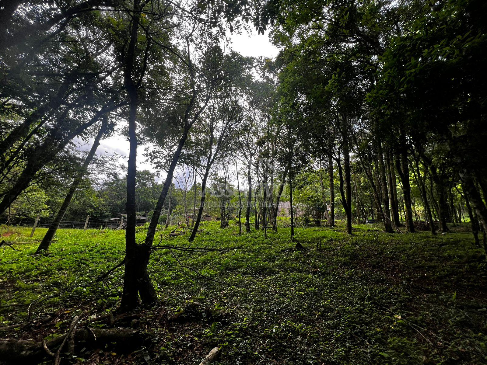 Chácara, 5000 m² - Foto 26