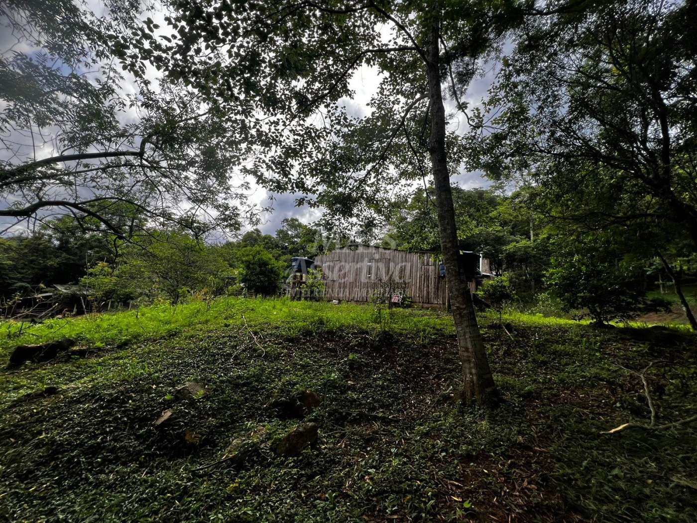 Chacara para venda em Campo Bom, Quatro Colônias Norte de 5.000m² 