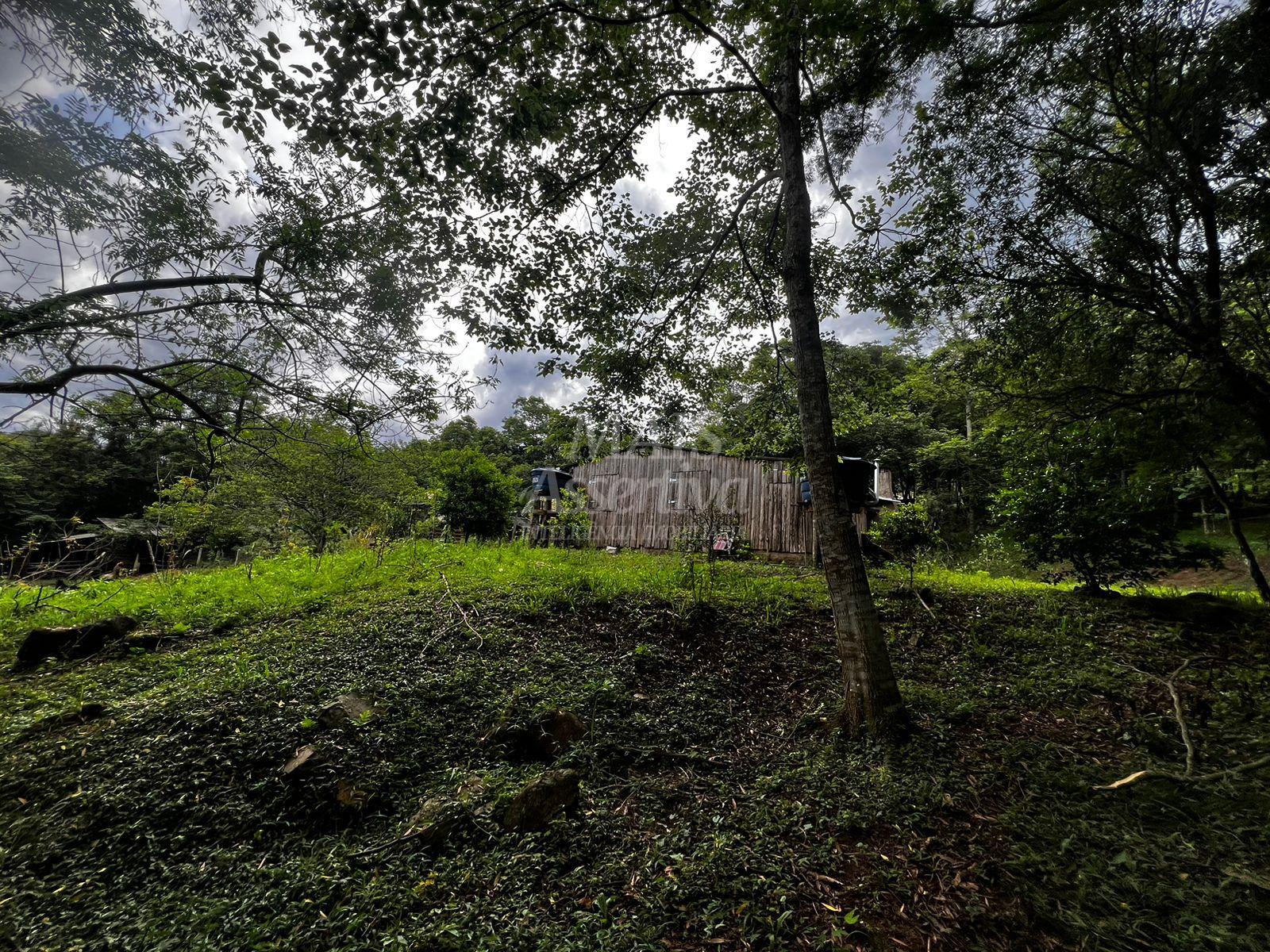 Chácara, 5000 m² - Foto 27