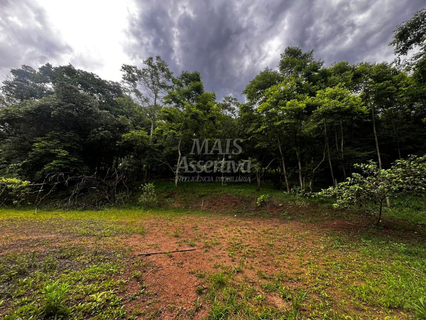 Chacara para venda em Campo Bom, Quatro Colônias Norte de 5.000m² 