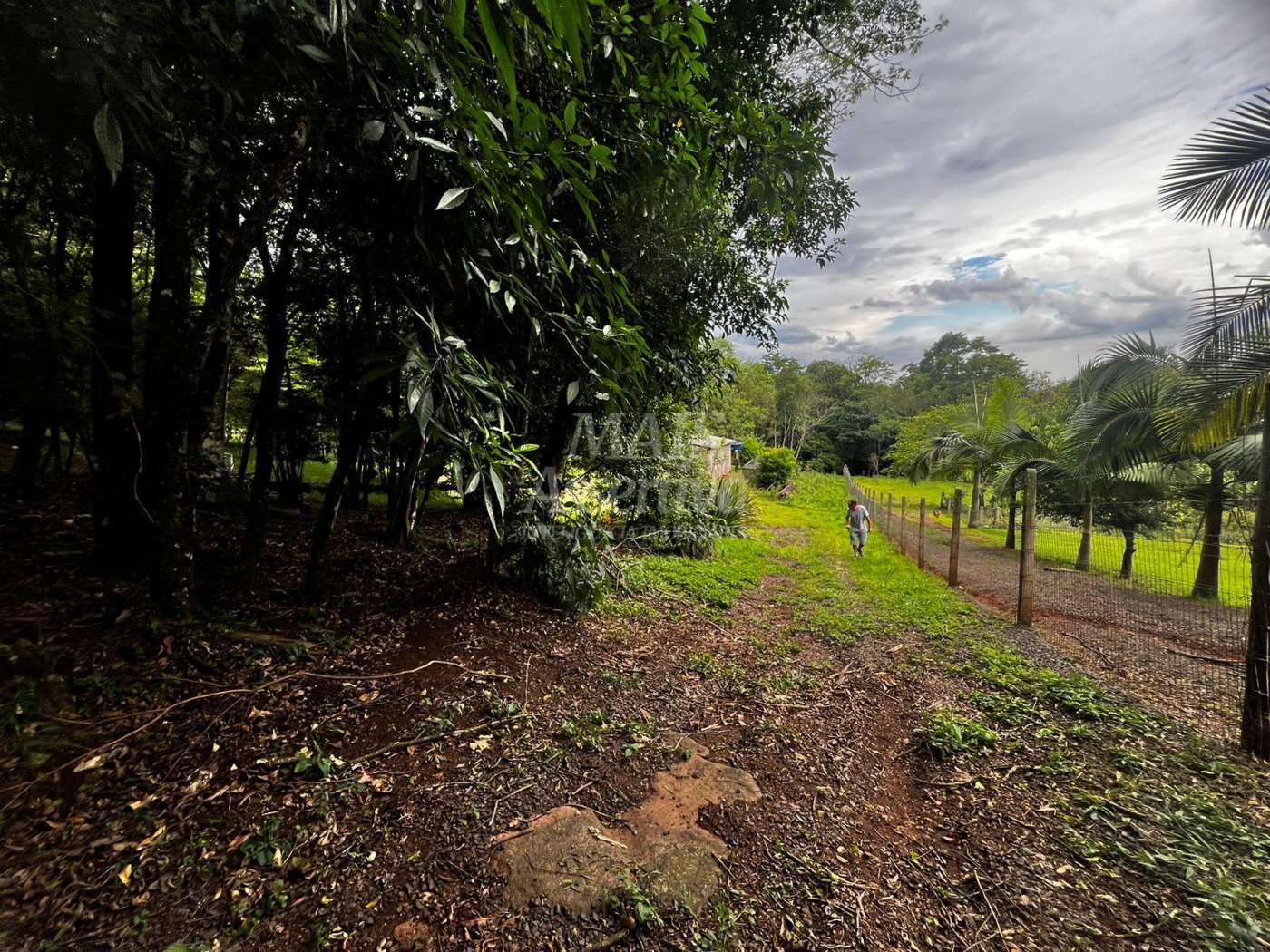 Chacara para venda em Campo Bom, Quatro Colônias Norte de 5.000m² 