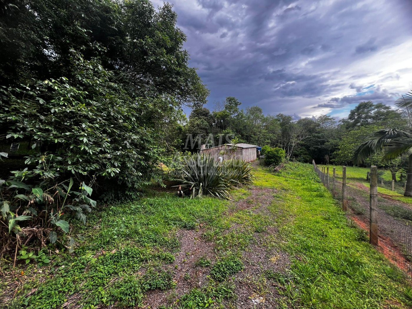 Chacara para venda em Campo Bom, Quatro Colônias Norte de 5.000m² 
