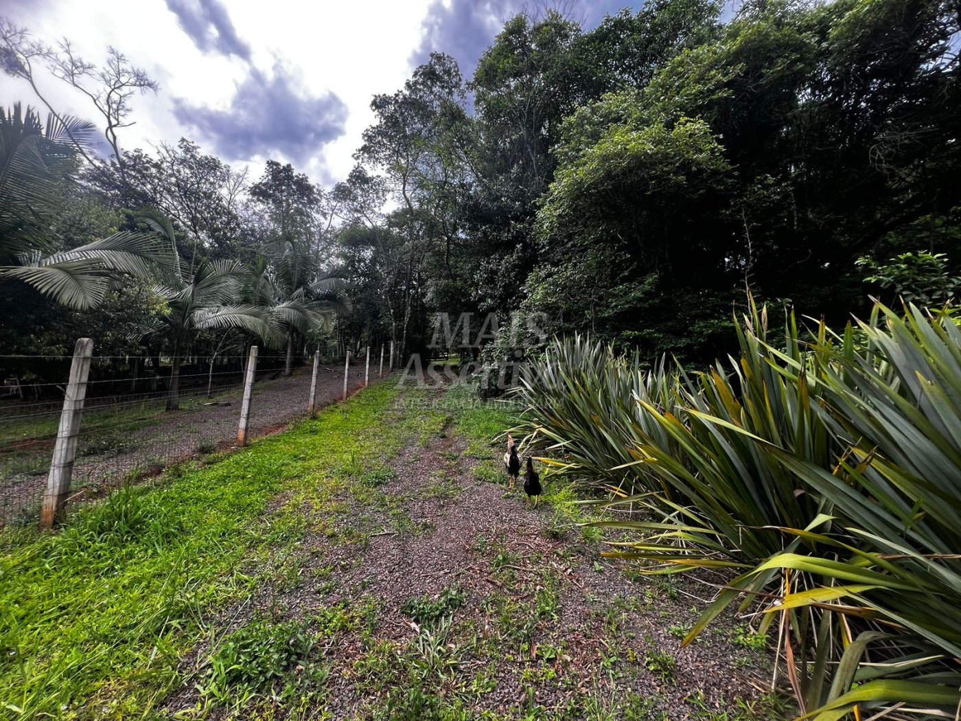 Chacara para venda em Campo Bom, Quatro Colônias Norte de 5.000m² 