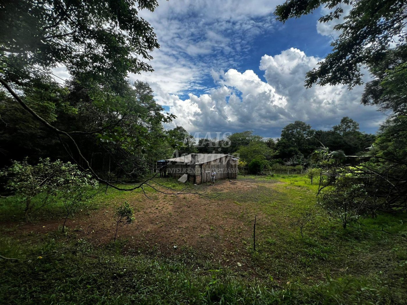 Chacara para venda em Campo Bom, Quatro Colônias Norte de 5.000m² 