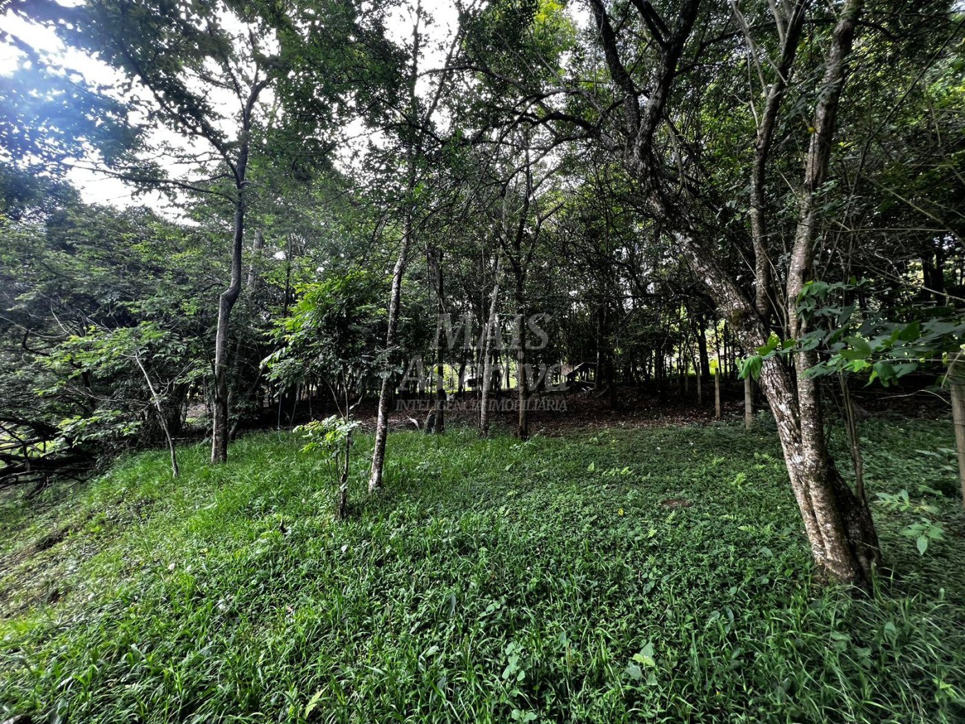 Chacara para venda em Campo Bom, Quatro Colônias Norte de 5.000m² 