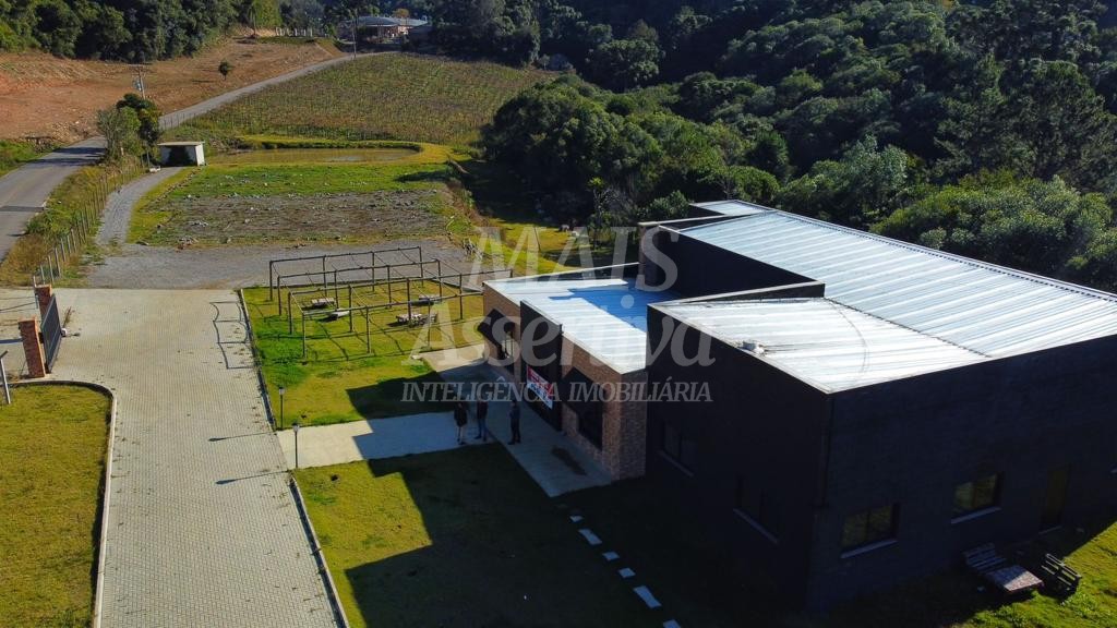 Chácara de 70.350,51 m² para venda em Flores da Cunha