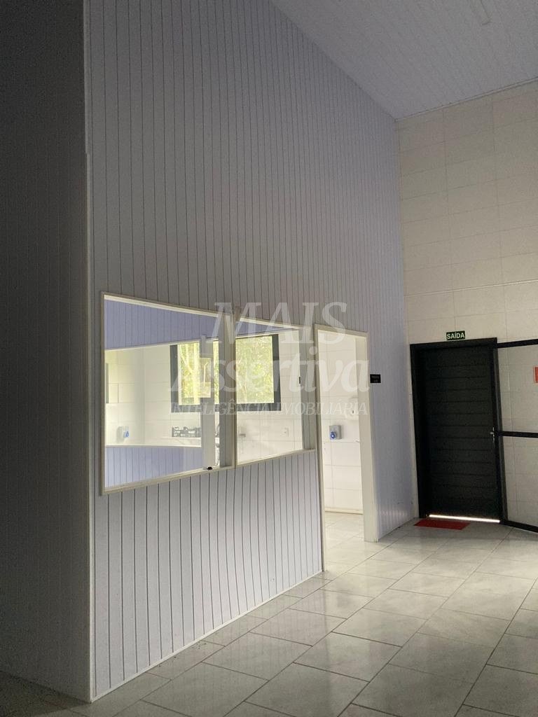 Chácara de 70.350,51 m² para venda em Flores da Cunha