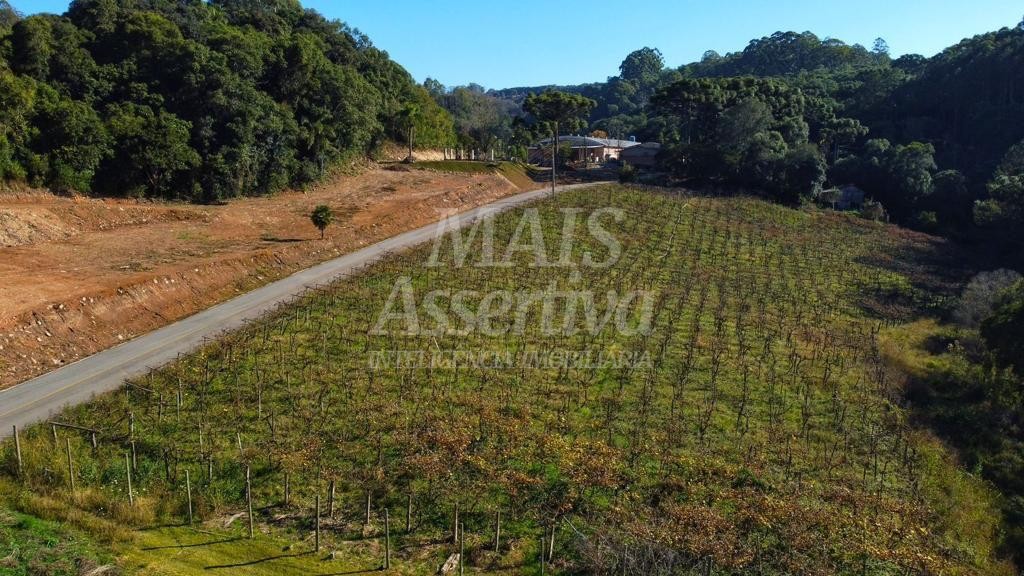 Chácara de 70.350,51 m² para venda em Flores da Cunha