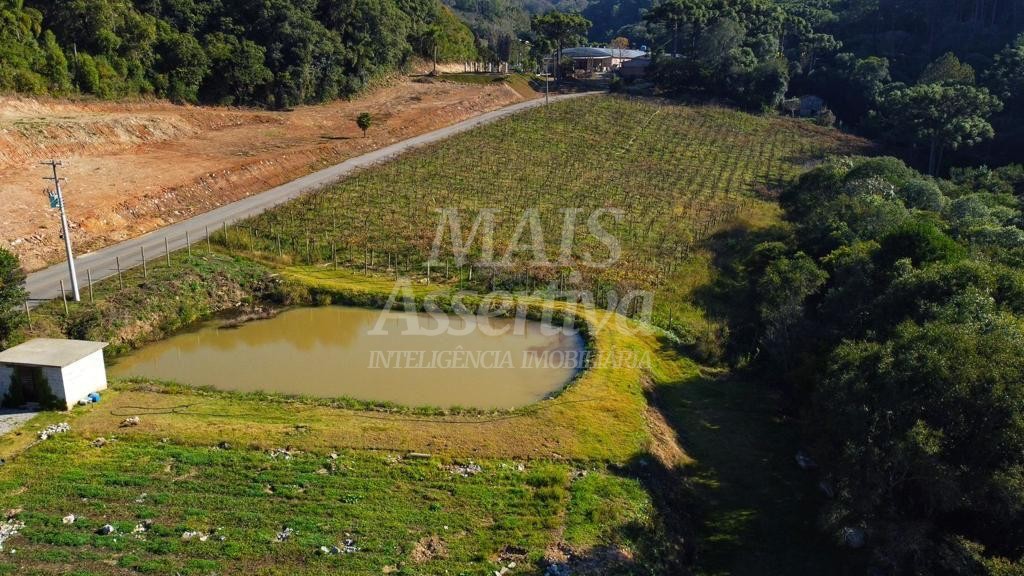 Chácara de 70.350,51 m² para venda em Flores da Cunha