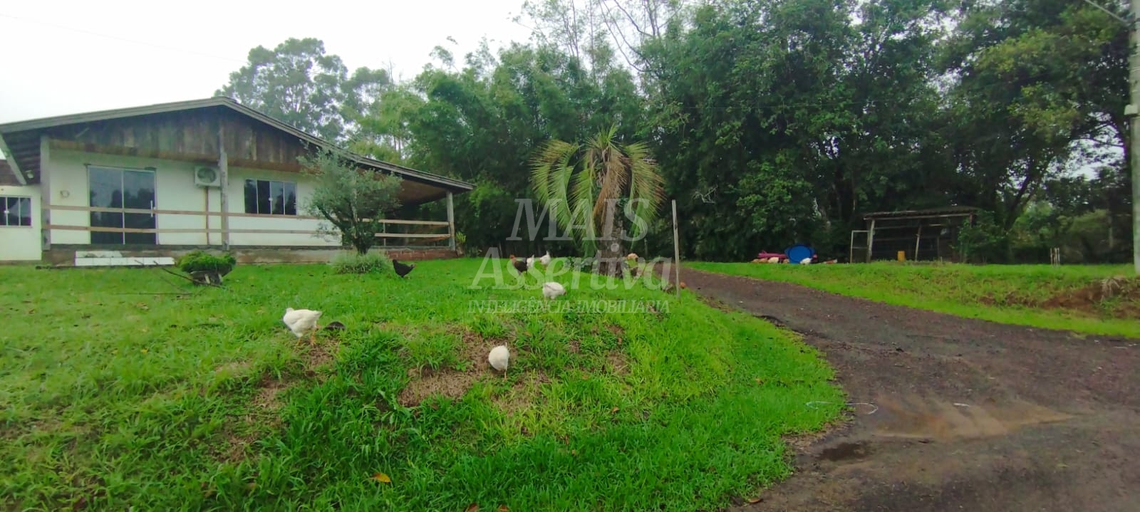 Chácara, 3 quartos, 3000 m² - Foto 1