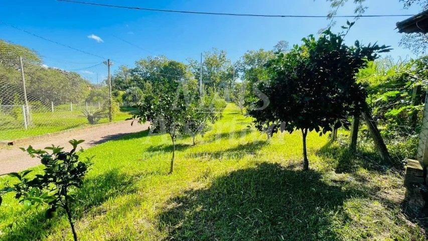 Sítio, 2 quartos, 3600 m² - Foto 3