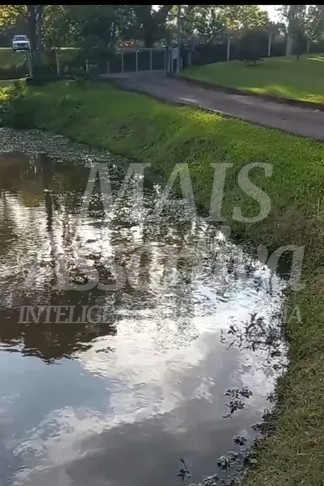 Sítio, 2 quartos, 3600 m² - Foto 4