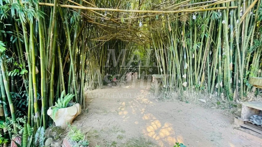 Sítio, 2 quartos, 3600 m² - Foto 7