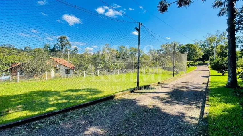 Sítio, 2 quartos, 3600 m² - Foto 9