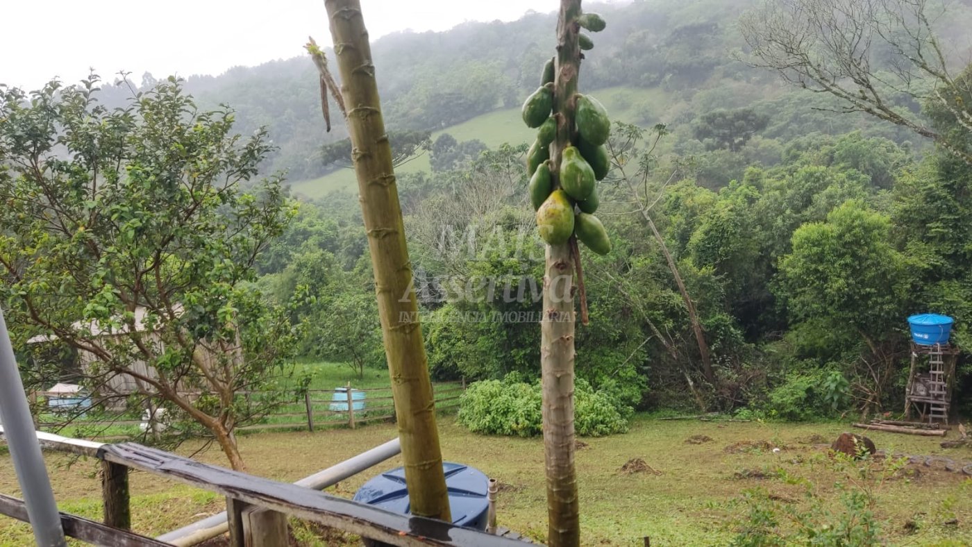 Sítio/ chácara para venda Santa Cruz da Concórdia em Taquara