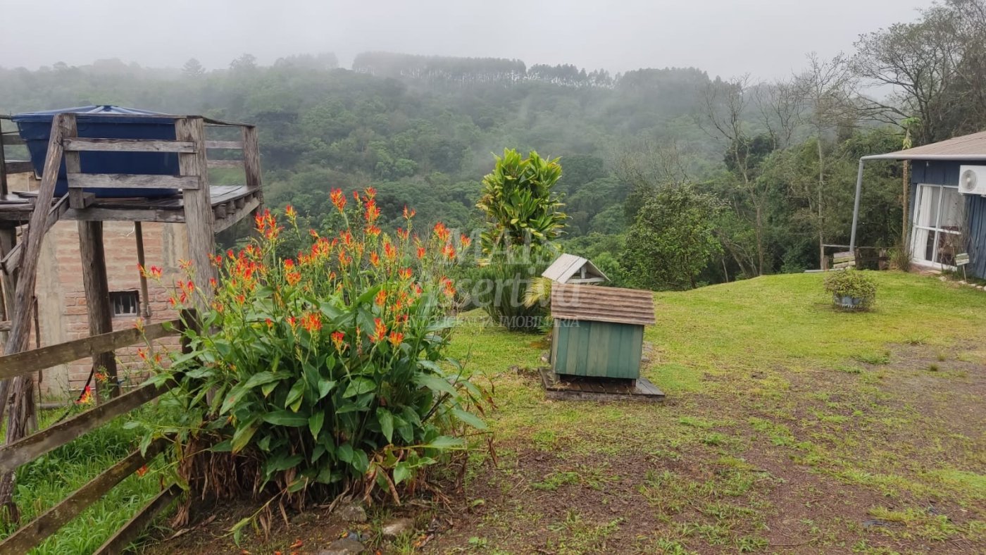 Sítio/ chácara para venda Santa Cruz da Concórdia em Taquara