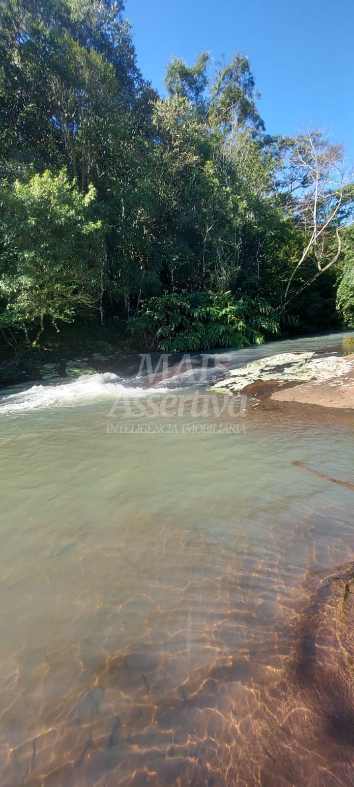 Sítio, 2 quartos, 3 hectares - Foto 10