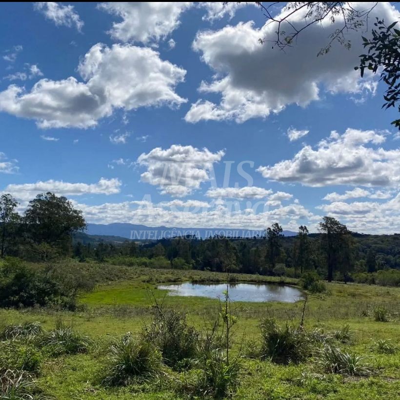Terreno, 57 hectares - Foto 10