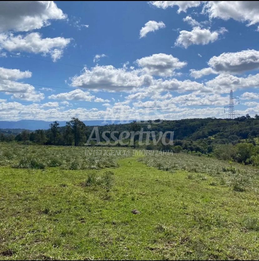 Terreno, 57 hectares - Foto 11