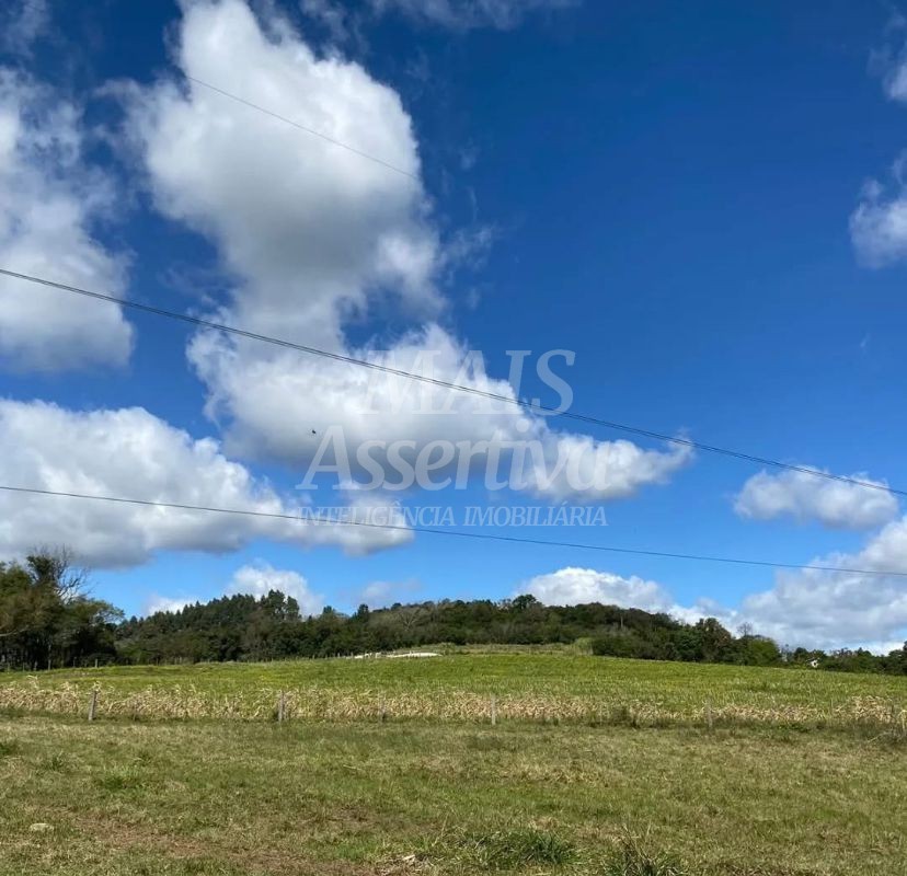 Terreno, 57 hectares - Foto 13
