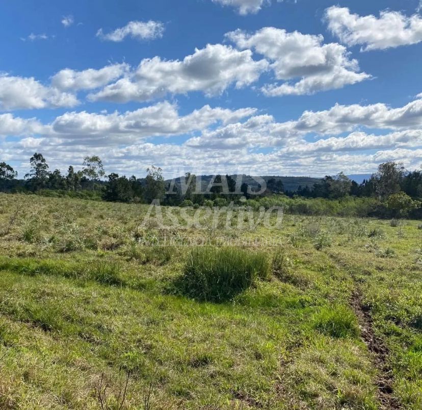 Terreno, 57 hectares - Foto 6