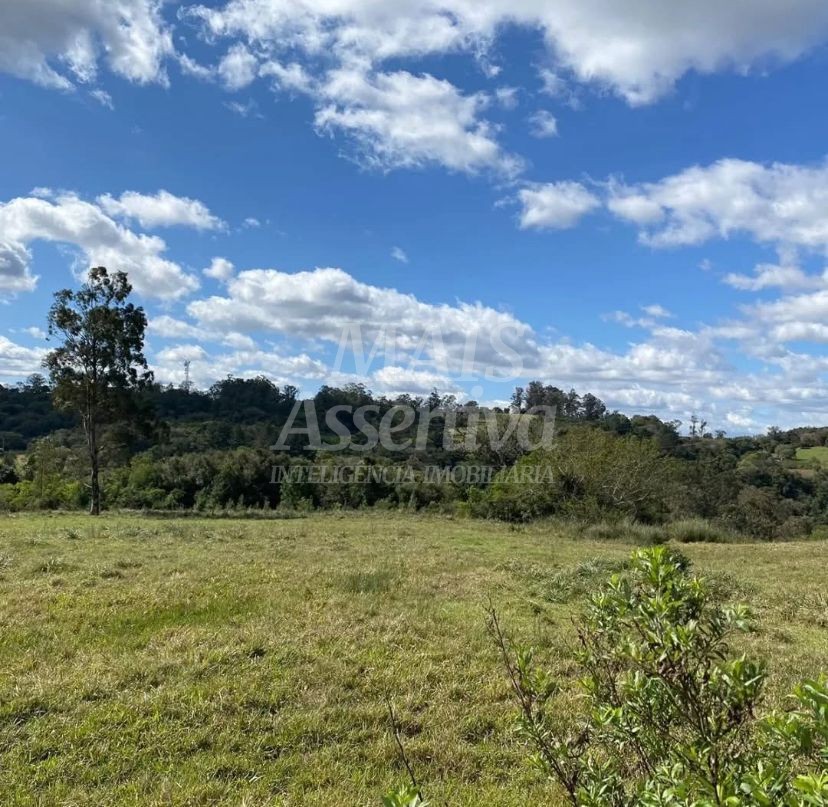 Terreno, 57 hectares - Foto 7
