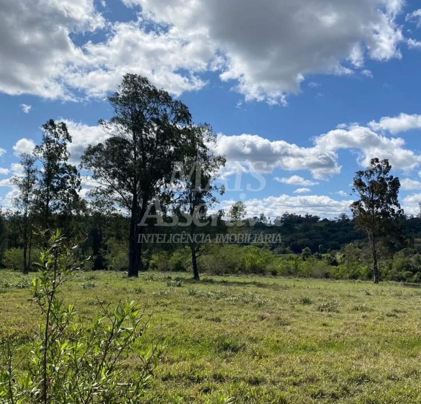 Terreno, 57 hectares - Foto 9
