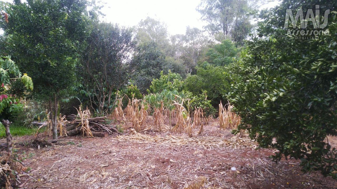 Terreno para Venda em São Leopoldo / RS no bairro Campestre