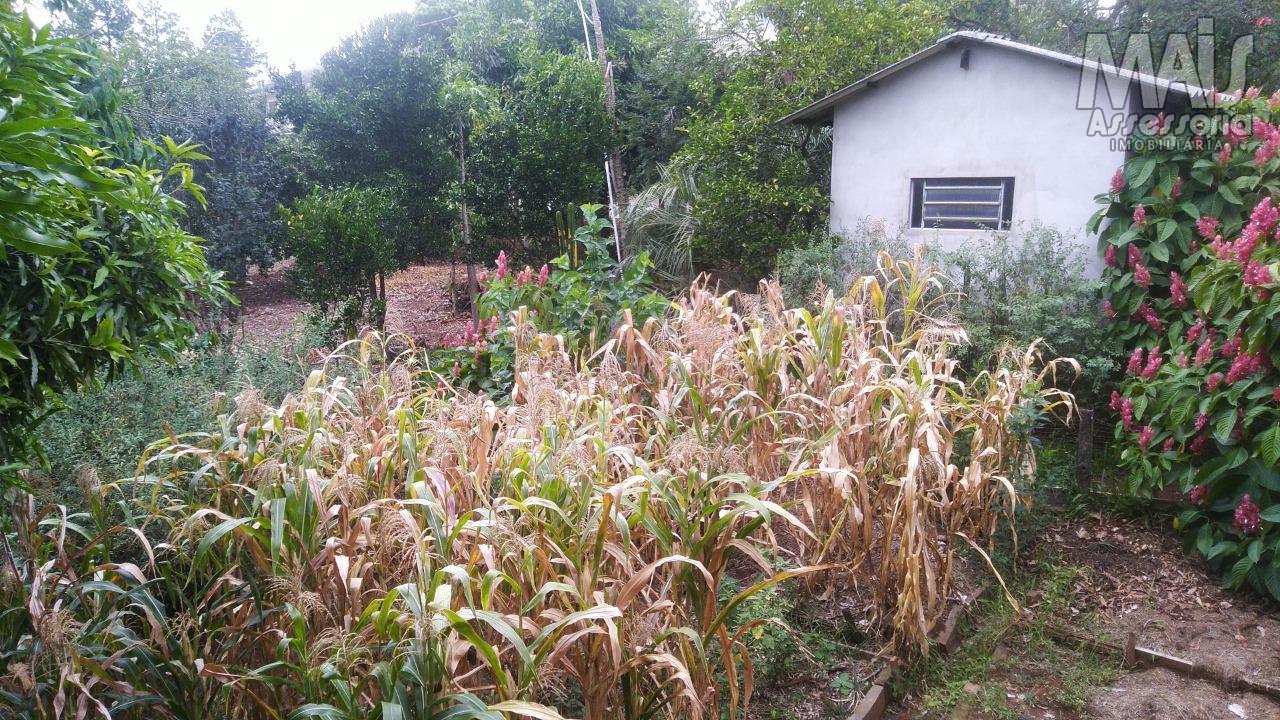 Terreno para Venda em São Leopoldo / RS no bairro Campestre