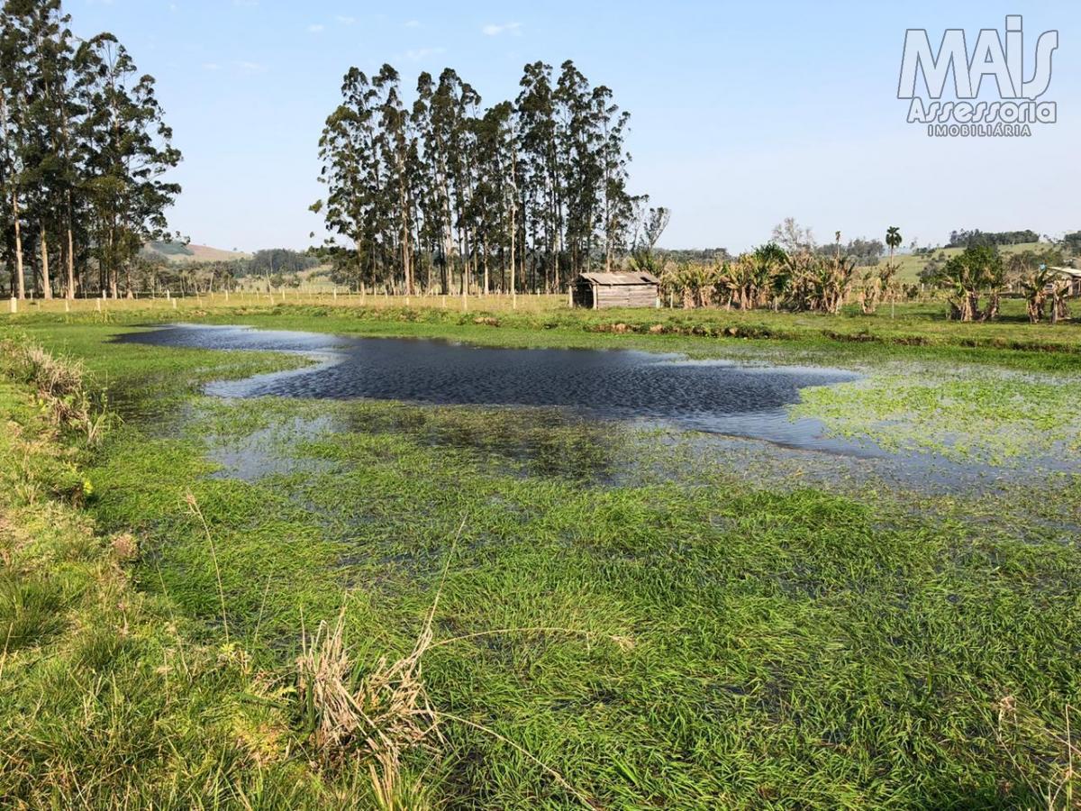 Chácara para Venda em Santo Antônio da Patrulha / RS no bairro Pinheirinhos