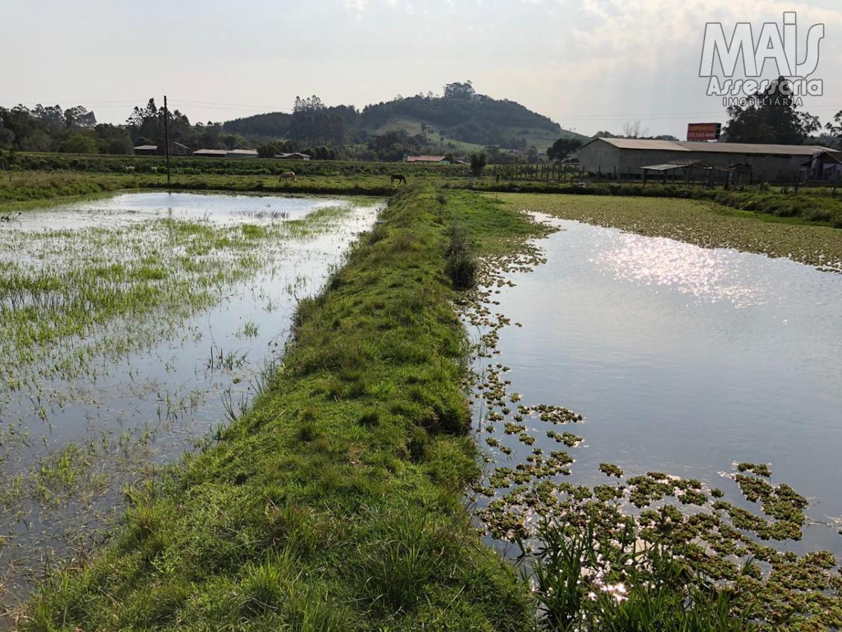 Chácara para Venda em Santo Antônio da Patrulha / RS no bairro Pinheirinhos