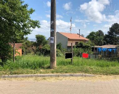 Terreno para Venda em São Leopoldo / RS no bairro Campestre