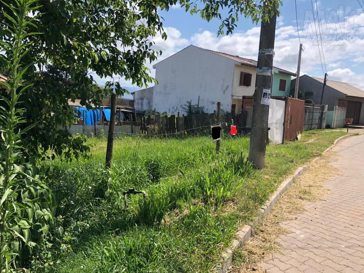 Terreno para Venda em São Leopoldo / RS no bairro Campestre