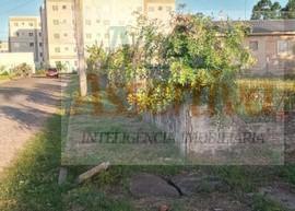 Terreno para Venda em São Leopoldo / RS no bairro Feitoria