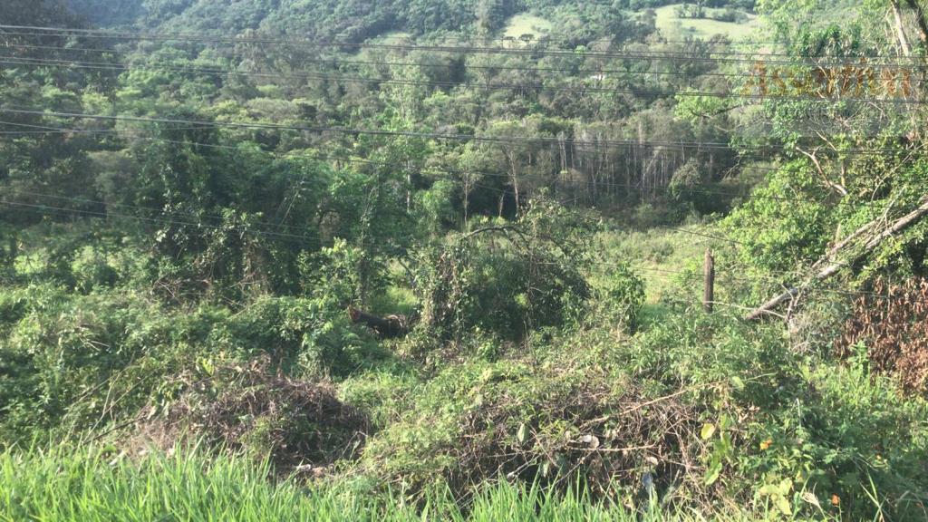 Terreno para Venda em Campo Bom / RS