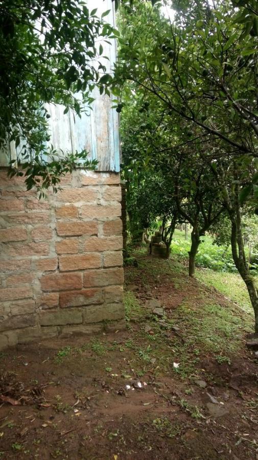 Chácara para Venda em Taquara / RS no bairro Santa Cruz da Concórdia