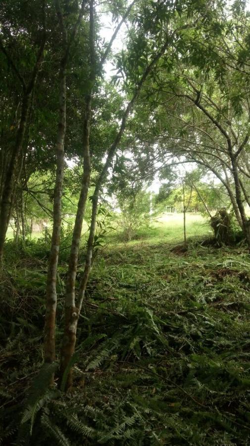 Chácara para Venda em Taquara / RS no bairro Santa Cruz da Concórdia