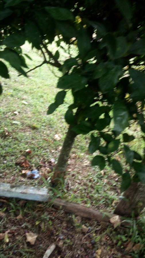 Chácara para Venda em Taquara / RS no bairro Santa Cruz da Concórdia
