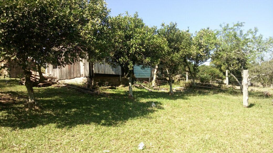 Chácara para Venda em Taquara / RS no bairro Santa Cruz da Concórdia