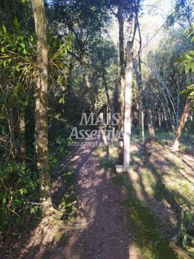 Terreno para Venda em Novo Hamburgo / RS no bairro Lomba Grande