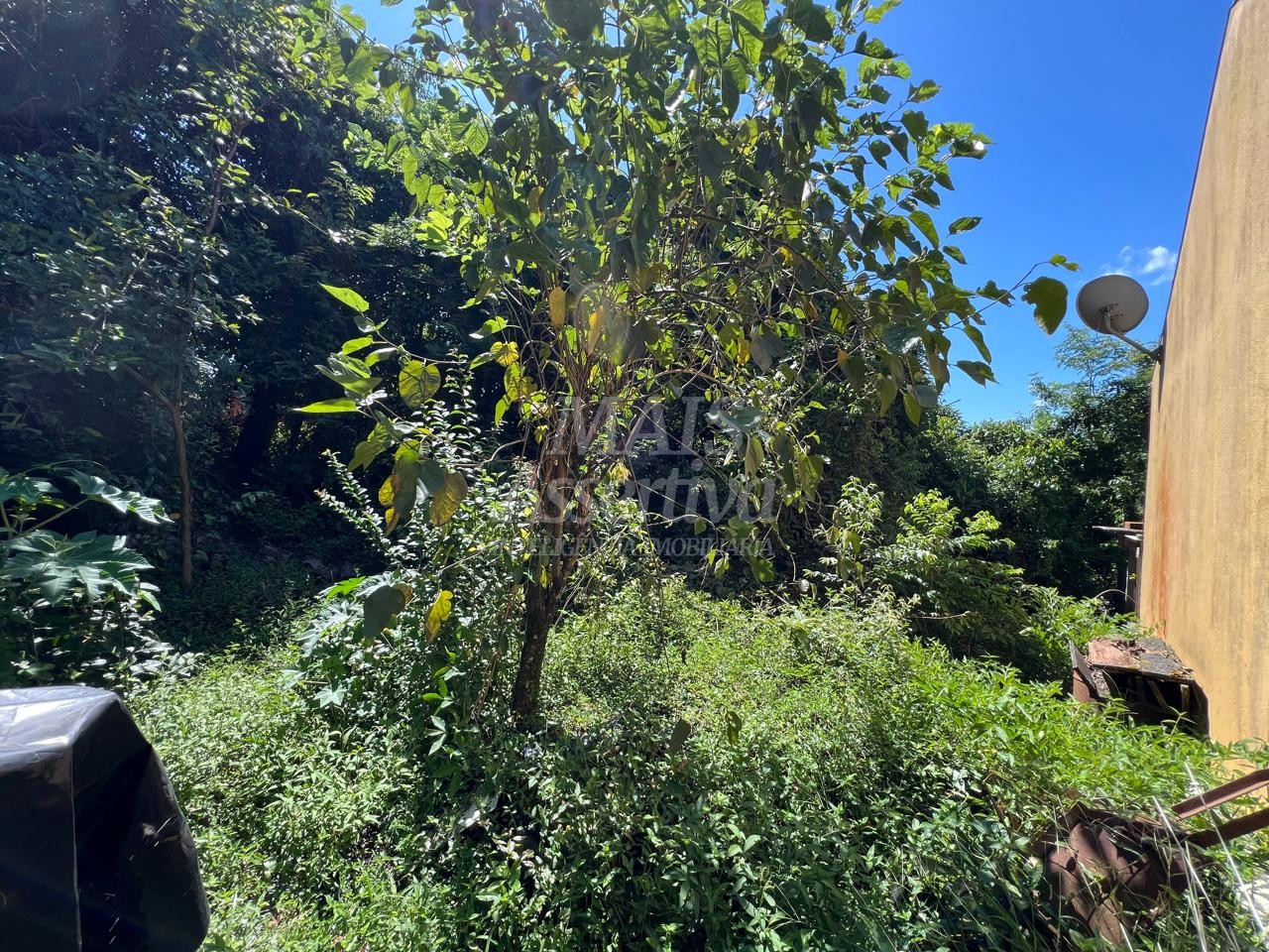 Terreno, 250 m² - Foto 10