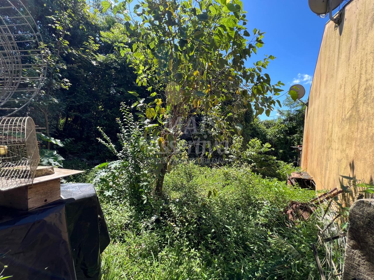 Terreno para Venda no bairro Santo Afonso em Novo Hamburgo