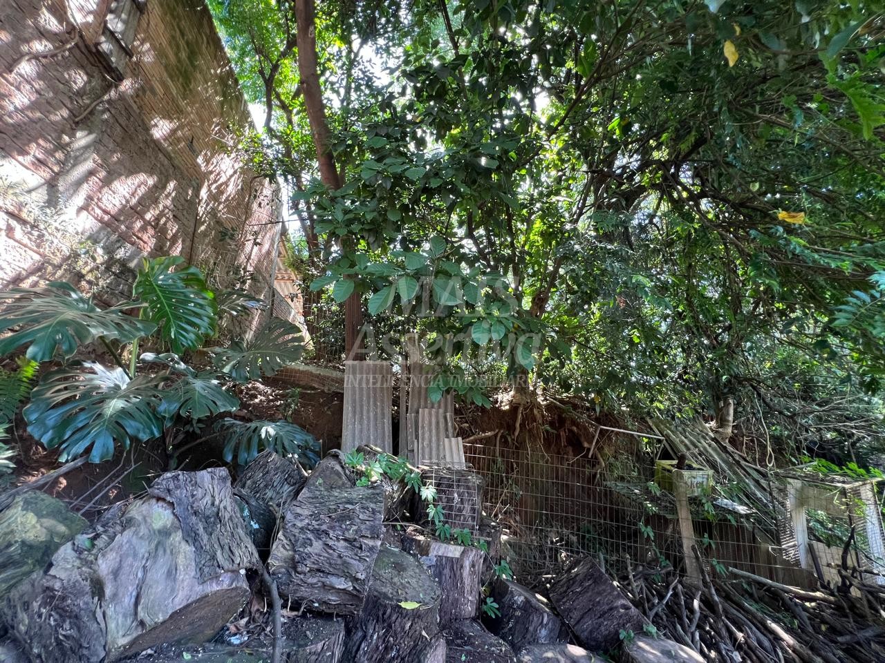 Terreno para Venda no bairro Santo Afonso em Novo Hamburgo