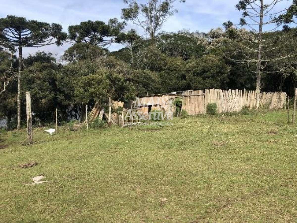 Sítio para Venda em Cambará Do Sul / RS no bairro Faxinalzinho