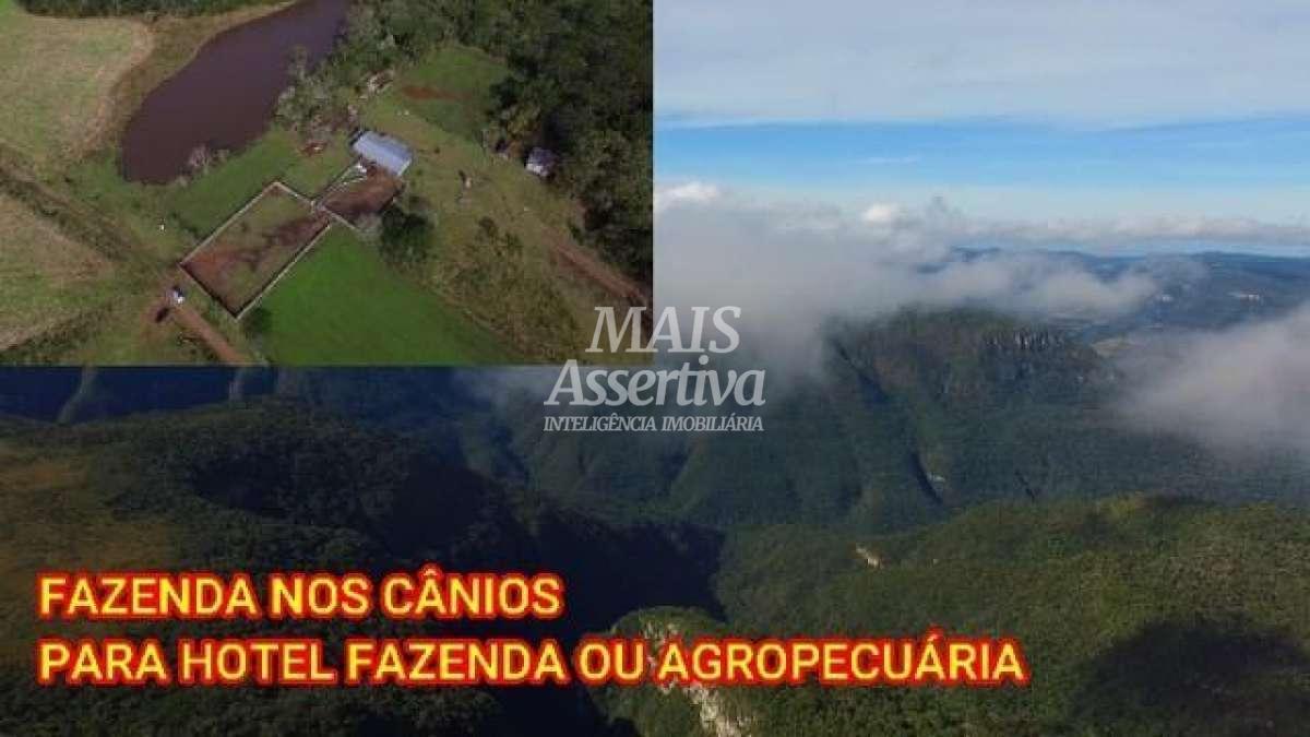 Sítio para Venda em Cambará Do Sul / RS no bairro Faxinalzinho