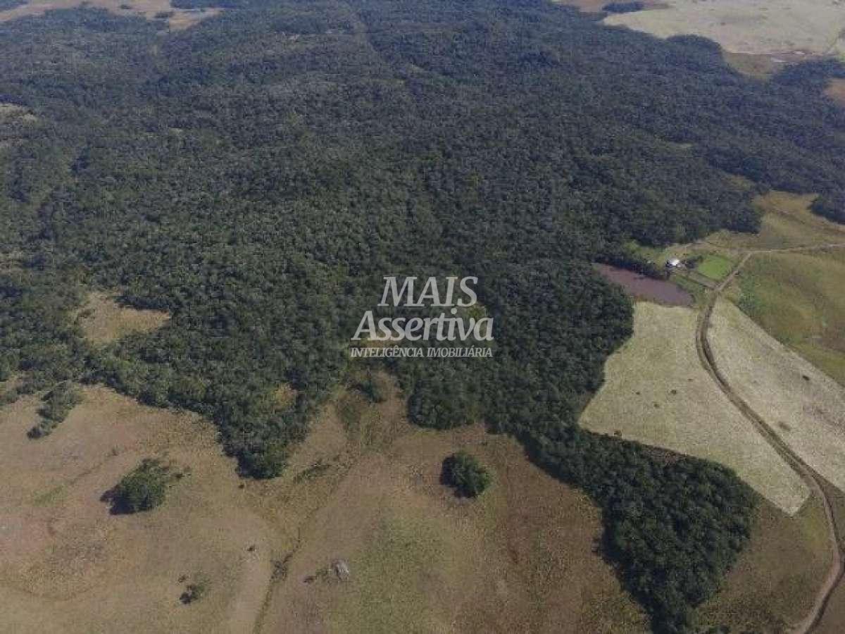 Sítio para Venda em Cambará Do Sul / RS no bairro Faxinalzinho