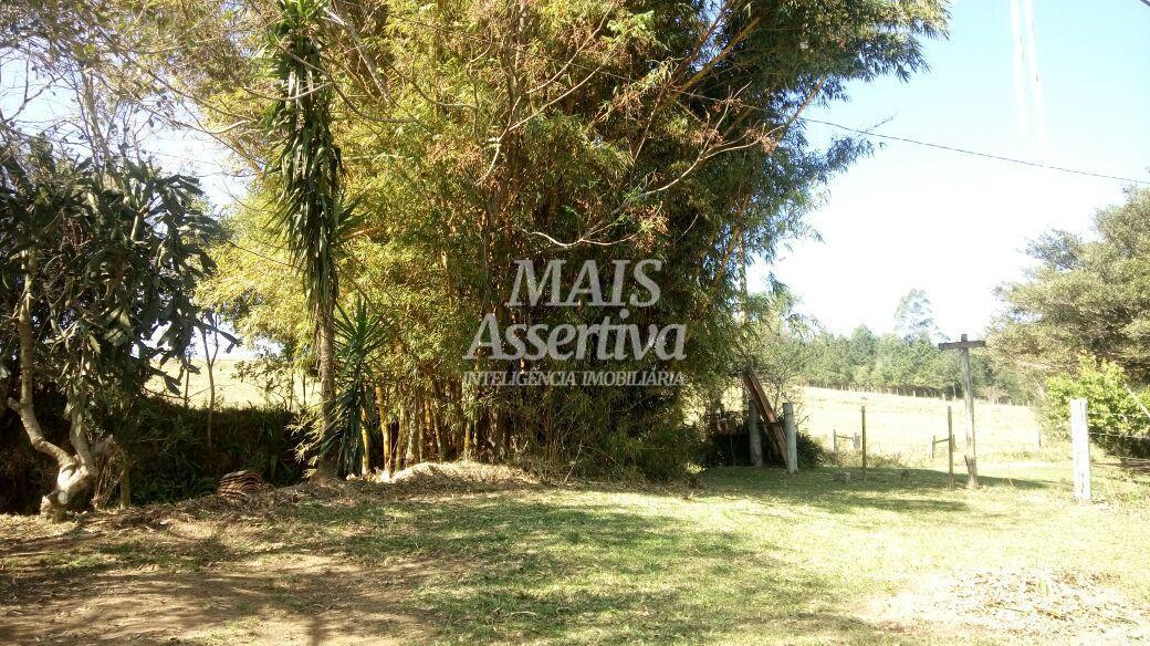 Sítio para Venda no bairro Santa Cruz da Concórdia em Taquara / RS.