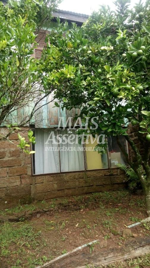 Sítio para Venda no bairro Santa Cruz da Concórdia em Taquara / RS.